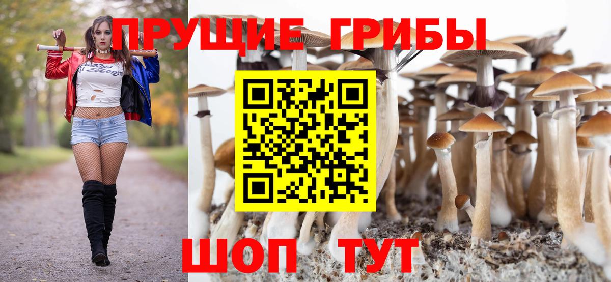 Галлюциногенные грибы Magic Shrooms Вязьма