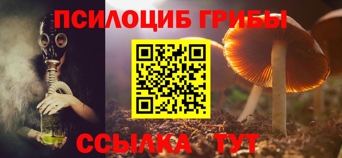 Псилоцибиновые грибы Psilocybine cubensis  Вход с VPN  Вязьма 