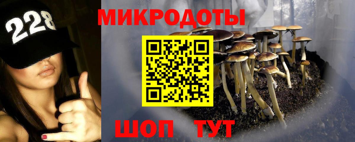 Галлюциногенные грибы мухоморы  дарнет шоп  Вязьма  Галлюциногенные грибы мухоморы 